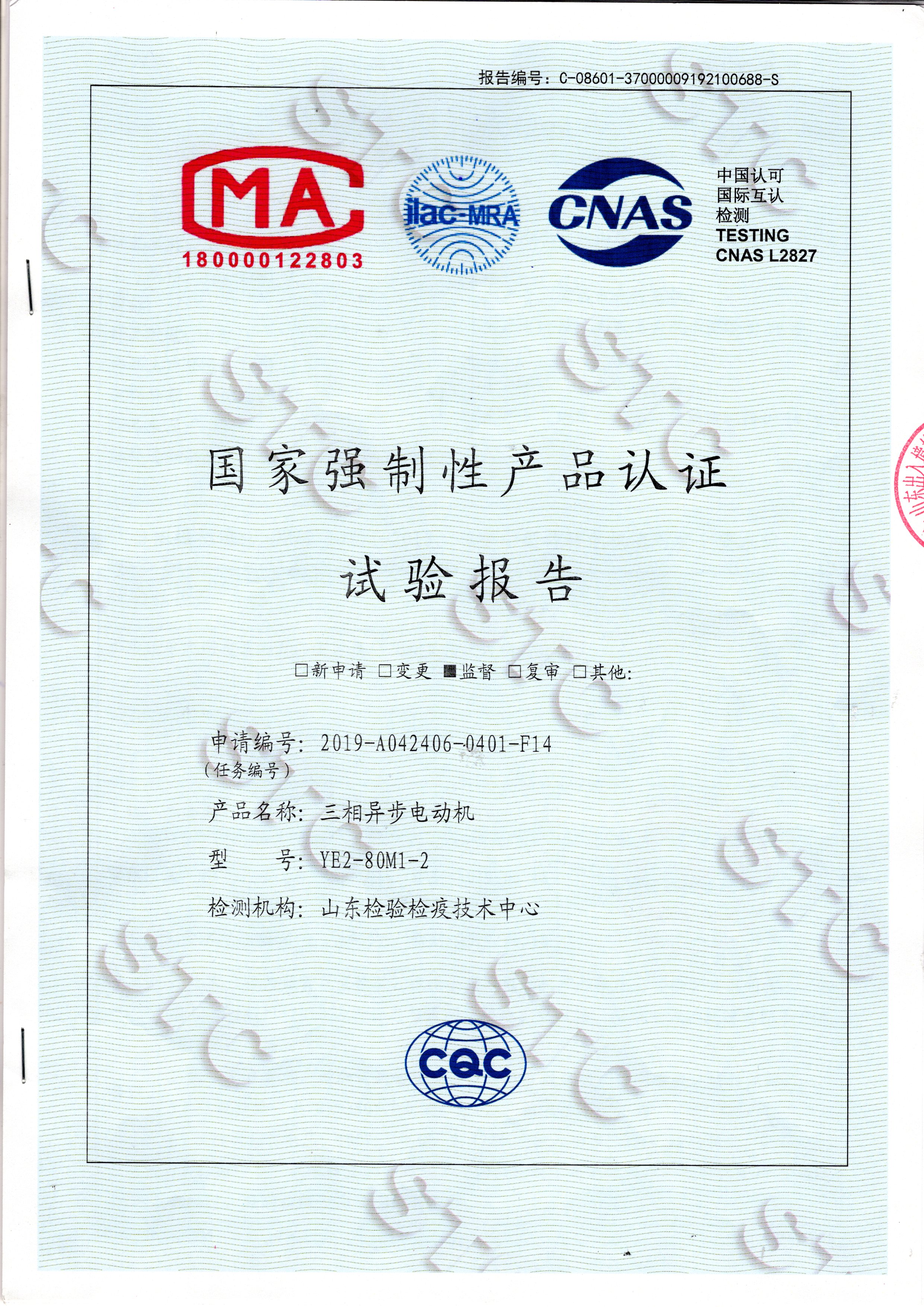 CQC年度監督檢查報告—2019